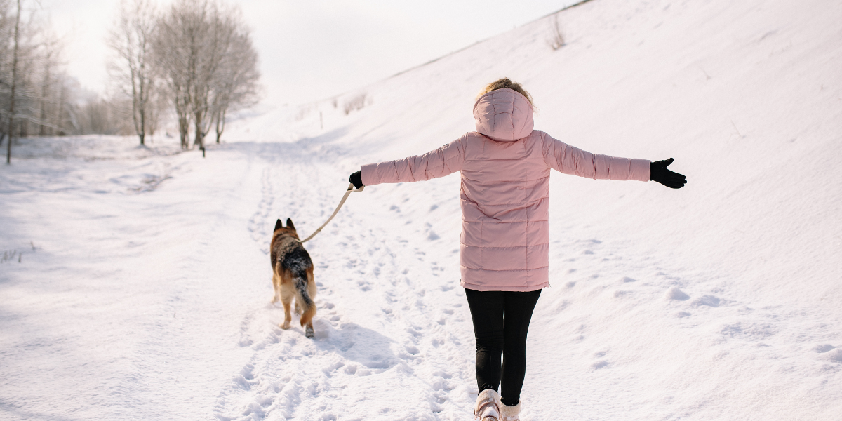 Blogové články - do textu_26